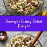 Turkey Salad Recipe