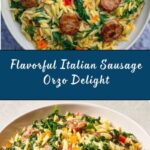 Italian Sausage Orzo Recipe