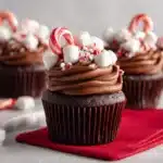 Hot Cocoa Cupcake Mugs Recipe