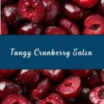 Sweet and Spicy Cranberry Salsa Recipe