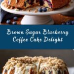 Brown Sugar Blueberry Coffee Cake Recipe