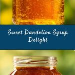 Dandelion Syrup Recipe