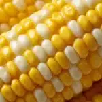 Slow Cooker Cheddar Corn Recipe