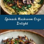 Spinach Mushroom Orzo Recipe