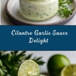 Creamy Cilantro Garlic Sauce Recipe