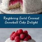 Raspberry Swirl Coconut Snowball Cake Recipe