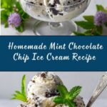 Homemade Mint Chocolate Chip Ice Cream Recipe