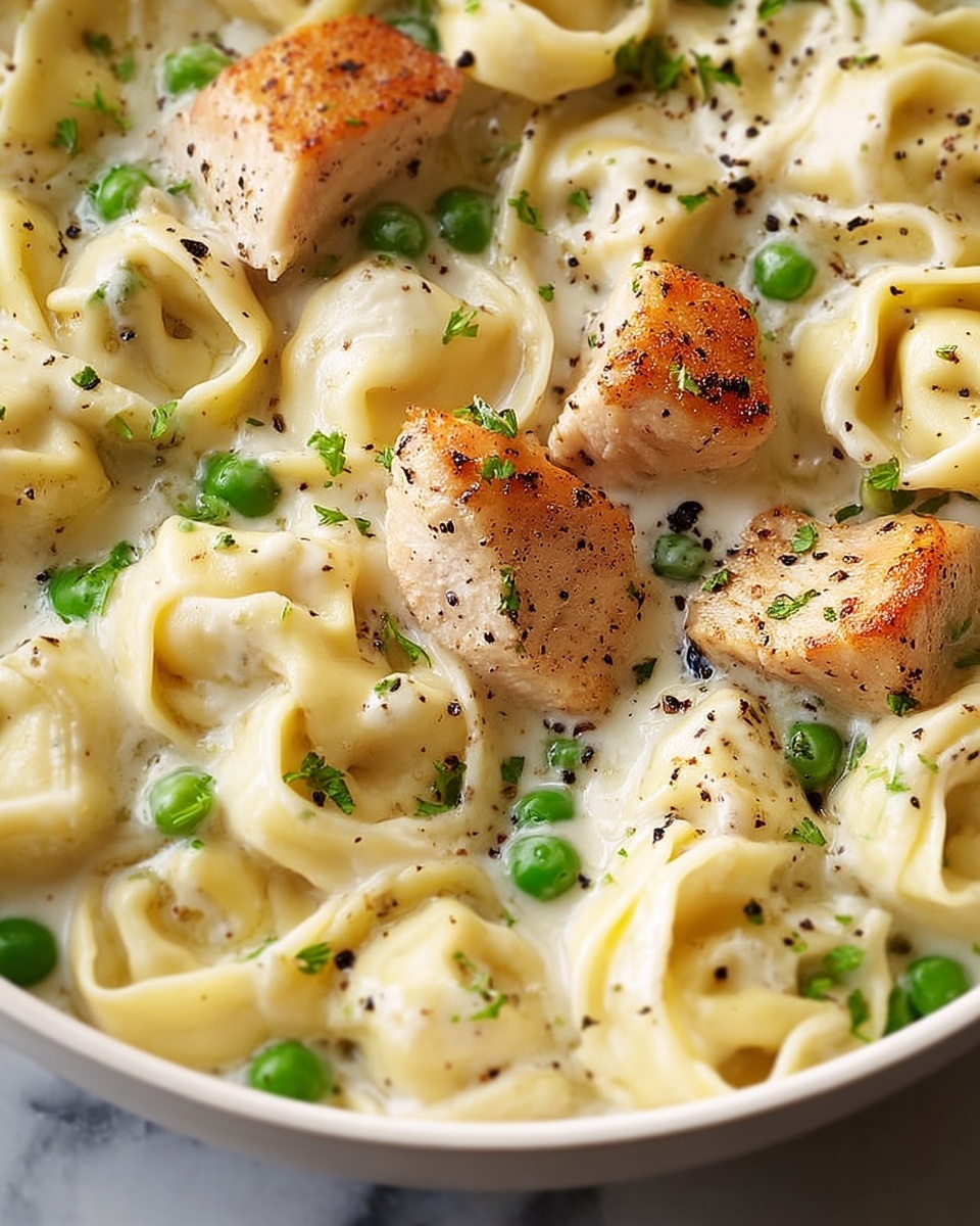 Chicken Tortellini Alfredo Recipe - Recipe Image