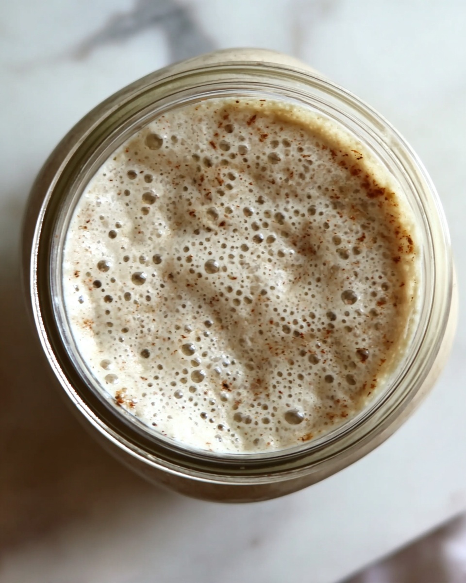 Sourdough Starter Recipe - Recipe Image